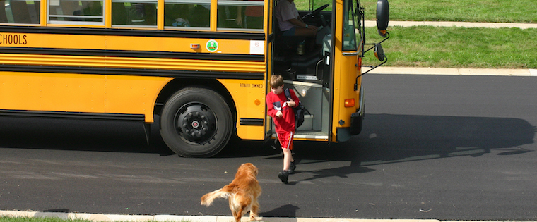 How To Keep The Dog Happy When Kids Go Back To School Animal Clinic Of Woodruff Spartanburg Sc